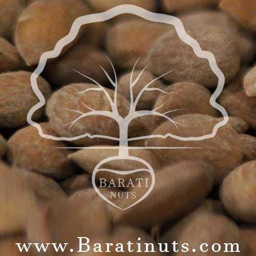 قیمت مغز بادام درختی ایرانی با بهترین کیفیت